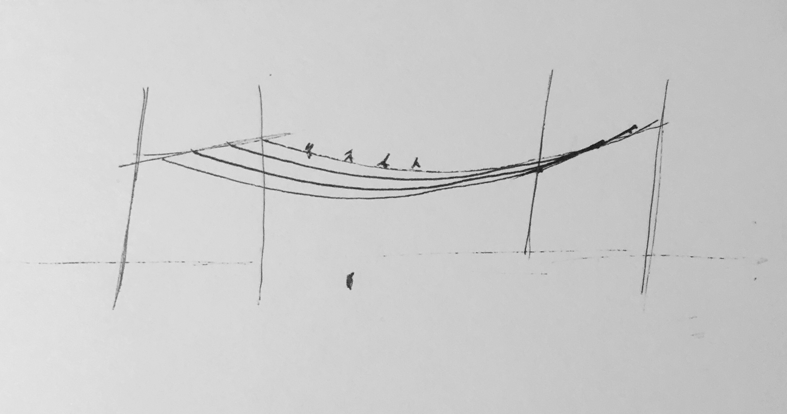 a line drawing depicting a figure standing under power lines adorned by birds.